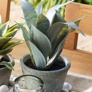 ❤️SOLD❤️Pottery Barn Faux Plant in Gray Pot